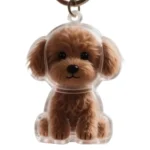 Transparent Dog Hair Storage Container Adorable Pet Keepsake Capsule Pendant for Pet Master Mother Father DIY Memorial Keychain - Image 5