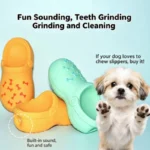 Indoor/Outdoor Dog Chew Toy Sound Latex Slippers Shape Teeth Cleaning Training Play for Small Medium Large Dogs & Puppies