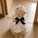 Heart Print Pet Dress with Bow, Breathable Cotton Dog Cat Clothes, Adjustable Pet Outfit with D-ring - Image 3