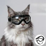 Pet Goggles Cat Glasses Pet Dog Dog Head Accessories Sunglasses Maine Cat Small Dog Schnauzer Sunglasses