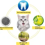 15pcs Natural Matatabi Cat Catnip Toy Kitten Molar Chew Stick Pet Cleaning Teeth Cat Treat Toy Actinidia Silvervine Pet Products - Image 6