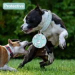 Spiked Dog Collar And Leash Set, Rivet Leather Dog Collar Adjustable Dog Collar For Outdoor Walking - Image 6