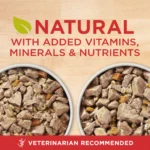 Tender Cuts in Gravy Chicken and Brown Rice and Beef and Barley Entrees High Protein Wet Dog Food Variety Pack, 13 oz Cans - Image 2