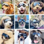 Dog UV protective goggles, suitable for medium to large dogs, dust, wind, and snow resistant for outdoor eyes - Image 6
