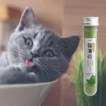 Catnip for Cats Natural Catnip Dried Catnip for Cat Toys Premium Quality Catnip Treats for Cat Toys Happy Kitten Cat Calming - Image 2
