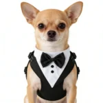 Dog Tuxedo for Wedding Outfit, Dog Suit and Tie Costumes for Birthday, Cosplay, Christmas Party, Pet Formal Wear with Bowtie - Image 3
