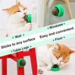 Natural Catnip Balls Lickable Cat Grass Snack Kitten Scratchers Toy Treats Chewing Fresh Breath For Small Medium Pet Cat - Image 5