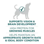 Plus Puppy Dry Food for Large Breed Dogs High Protein Formula with Real Chicken 16.5 lb Bag - Image 5