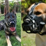 Adjustable Dog Muzzle Anti-Biting Dog Mouth Cover With Reflective Strip Can Drink Water Breathable Plastic - Image 2
