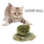 1~5PCS Natural Catnip Cat Wall Stick-on Ball Toys Treats Healthy Natural Removes Hair Balls To Promote Digestion Cat Grass Snack - Image 2
