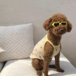 Love Pet Glasses Dog Cat Creative Fashion Sunglasses Sunglasses with Jewelry Cat Dog Love Glasses Pet Beauty Decoration Supplies - Image 2