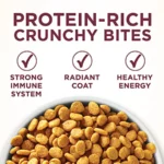 High Protein Dry Cat Food, +Plus Urinary Tract Health Formula - 16 lb. Bag - Image 6
