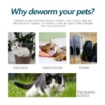 50ml Pet Anti Flea Tick Agent for Cats, Dogs, and Dogs. Extracorporeal Deworming Skin Cleaning Agent for Lice, Ticks, and Ticks - Image 3