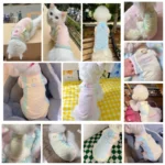 Dog Summer Vest Girls Dog Costume Fashion Dog Cooling Clothes Chihuahua Bichon Yorkie Puppy T Shirts New Mesh Sunscreen Clothing - Image 6
