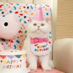 Adorable Dog Cat Puppy Birthday Hat & Bandana Set Cat Dog Accessories Pet Birthday Supplies - Image 5