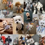 Luxury Dog Clothes for Small Dogs Winter Warm Dog Sweater Chihuahua French Bulldog Clothing Pet Items Knitted Cardigan Sweater - Image 2