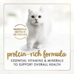 Purina Gravy Lovers Poultry and Beef Grilled Gourmet Wet Cat Food Variety Pack - Pack of 24 3 oz. Cans - Image 4