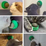 Natural Catnip Balls Lickable Cat Grass Snack Kitten Scratchers Toy Treats Chewing Fresh Breath For Small Medium Pet Cat - Image 6