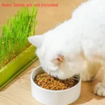 Nursery Tray Seed Germination Tray Cat Grass Growing Set Layered Feline Soilless Convenient Cat Grass Set 4 Styles Pet Supplies - Image 3