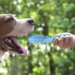 Dog Teething Toy Chew Stick Bite Resistant Fun Leak Proof Food Toy Pet Teether Cleaner Stick - Image 3