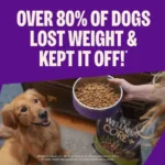 CORE Dry Dog Food, Grain Free, High Protein, Natural, Healthy Weight Turkey and Chicken Recipe, 4-Pound Bag - Image 2