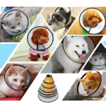 Pet Elizabeth Collar Soft Puppy Cat Anti Bite Recovery Cone Small Dog Wound Healing Neck Ring Post Surgery Protective Accessorie - Image 4