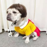 NONOR Pet Wigs Cosplay Props Funny Dogs Cats Cross-Dressing Hair Hat Costumes Head Accessories for Halloowen Christmas Supplies - Image 5