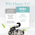Catnip for Cats Natural Dried Cat Mint Leaves 20g Organic Catnip Treat Relieves Stress Encourages Play Kitten Toys - Image 5