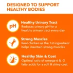 Proactive Health Urinary Tract Health Chicken Dry Cat Food, 7 Lb Bag - Image 6