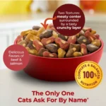 Tender Centers, Basted Bites Beef and Salmon Flavors, Dry Cat Food, 14.2 lb. Bag - Image 3