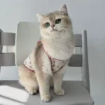 1pc Cute cherry print pet tank top, soft and skin friendly pet clothing - Image 3