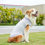 Cute Mesh Vest Pet Clothes 2026 New Ice Silk Cooling Puppy Vest Quick Drying Summer Pet Costume Large Size Splicing Clothes - Image 4
