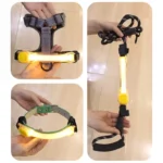 Night running pet dog safety harness collar for preventing loss. Multi-color pendant. Waterproof outdoor warning LED flashing li - Image 4