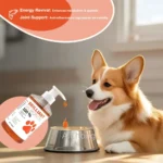 Human-Grade Salmon Oil (500ml, 300ml, 200ml 100ml) for Dogs & Cats Omega 3 Fatty Acids Supplement for Optimal Health & Nutrition - Image 5
