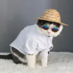 Lovely Vintage Round Pet Sunglasses Reflection Eye wear glasses For Small Dog Cat Animal Photos Props Accessories - Image 2