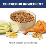 Adult 1-6 Indoor Dry Cat Food, Chicken, 7 lb. Bag - Image 3