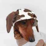 Wiener Dogs Sunscreen Hat Outdoor Hat Ear Holes Adjustable Cap for Badger Dogs Breathable Cool Hat for Small Media Dogs