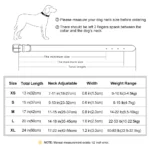 Customized PU Leather Nameplate Dog Collar Soft Padded Dogs Collars Free Engraving Name for Small Medium Large Dogs Adjustable - Image 10