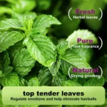 Cat Crack Catnip 100% Natural Safe & Non-Addictive Catnip Treats Used to Supplement Catnip Toys, Catnip Spray, & Cat Accessories - Image 5