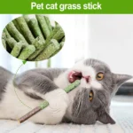 Natural Cat Stick Cat Teeth Cleaning Mint Caught Bite Hairball Removal Cat Chew Stick Catnip Toys Sticks Indoor Kitten