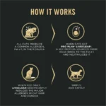 LiveClear Cat Food 7+ Cat Allergen Reducer Chicken and Rice Formula Dry Cat Food - Image 3