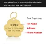 Personalized Collar Pet ID Tag Custom Free Engraved Cat Dog Puppy Name Necklace Gold Paw Glitter Pendant Pet Accessories 3CM - Image 3