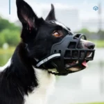 Adjustable Dog Muzzle Anti-Biting Dog Mouth Cover With Reflective Strip Can Drink Water Breathable Plastic - Image 6