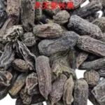 Natural Silver Vine Gall Fruit Cat Chew Toy, Teething Grinding Dental Toy for Kitten Adult Cat - Image 3