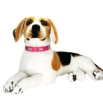 Bone Leather Durable Pet Dog Collars Puppy Pug Collars for Small Large Dog Chihuahua Cat Accessories Pet Collar for Small Dogs - Image 6