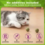 Catnip Balls Kitten Cat Nip Ball Licker Toy Natural Catnip Ball for Cats of All Breeds,Cat Lick Ball Toys That Fascinate Cats - Image 3