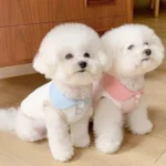 Summer Clothes for Dogs Puppy Shirt Blouse Spring Pets Clothing Dog Doggy Pet Shirts Apparel Supplies - Image 2
