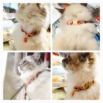 Japanese Sakura Dog Choker Engraved Glitter Puppy Cat Collar Pendant Pet Collar Pet Accessories Paw - Image 6