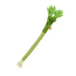 Cat Chew Toys Catnip Cat Teeth Cleaning Toy Interactive Self Playing Catnip Molar Stick Toys Bite Squeaky Cat Toy - Image 6