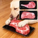Pet Textile Toy Steak Bite-Resistant Clean Dog Chew Puppy Training Toy Simulated Tomahawk Steak Pet Grind One's Teeth Supplies